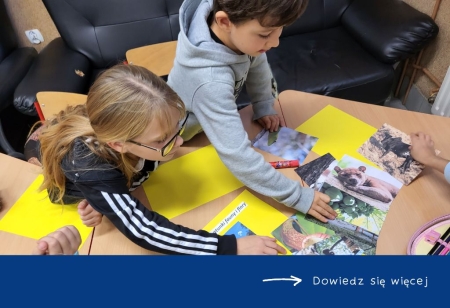 Świetliczaki- gatunki fauny i flory występujące na Madagaskarze