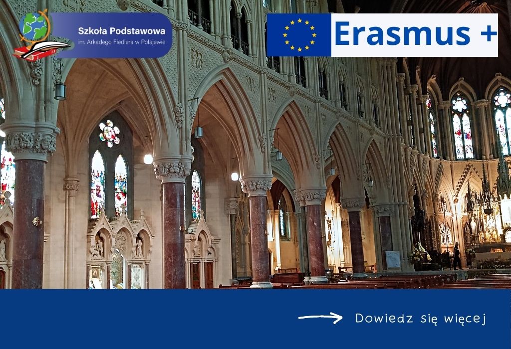 erasmus-katedra-sw-kolmana-w-cobh