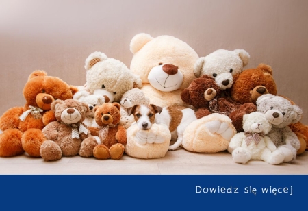 Dzień Pluszowego Misia