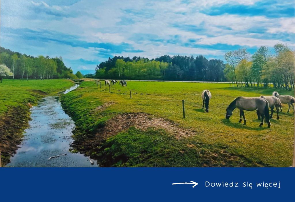 gminny-konkurs-fotograficzny-przyroda-w-obiektywie